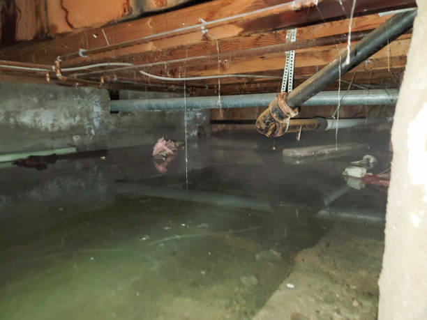 Best 24/7 water damage repair  in Lambertville, NJ