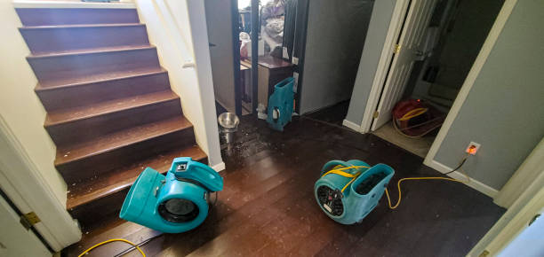 Best Basement water damage restoration  in Lambertville, NJ