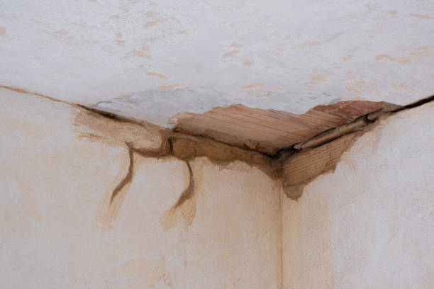 Best Mold removal after water damage  in Lambertville, NJ