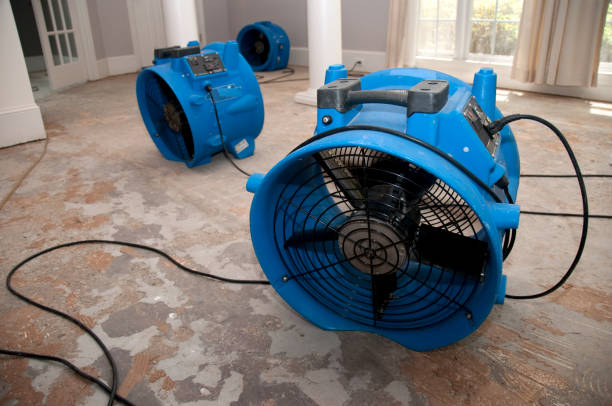Best 24-hour water damage restoration  in Lambertville, NJ