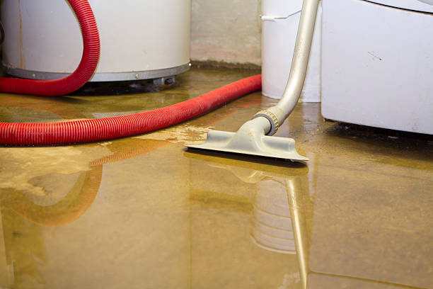 Best Water damage restoration near me  in Lambertville, NJ