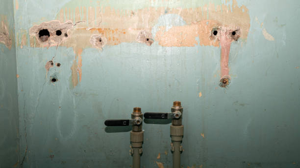 Best Professional water damage repair  in Lambertville, NJ
