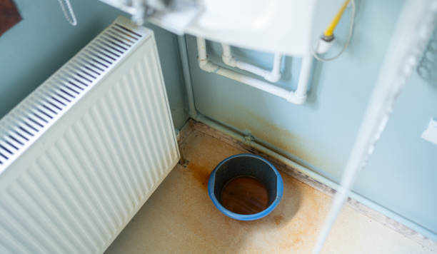 Best Water damage restoration near me  in Lambertville, NJ