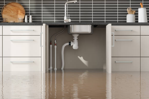Best Water damage restoration near me  in Lambertville, NJ